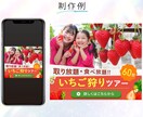 高品質WEB画像・バナーを丁寧に制作します 広告・SNS・ECなど目的に合ったデザインで集客をサポート イメージ8