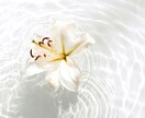 誰にも言えない気持ち、そっと受けとめます 経験者だからこそわかる“心の声”を丁寧に言葉にします。 イメージ6