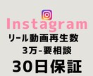インスタリール再生回数＋30,000数増やします 【最短即日】実力至上主義のSNSブースト。数字で世界を変える イメージ1