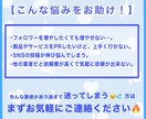 500RT以上100万人に宣伝致します インプ1.5万、500RT完全保証！ イメージ4