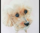 A5サイズ色鉛筆画を制作いたします 写真とはまた違った温かみのある作品を制作いたします。 イメージ1