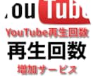 YouTube 再生回数プロモーションします ✳️再生回数増加をサポート✳️お試し頂きやすさをご提供します イメージ1