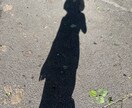30分間即レスでお話し聞きます 元ラウンジ嬢が貴方のお悩みや、愚痴なんでも聞きます(^^) イメージ3