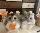 羊毛フェルトで可愛い子たちを作ります ペットの記念として。プレゼントとしていかがでしょうか イメージ1