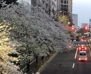 恋愛の悩み秘密の関係複雑恋愛などお話しお聞きします アドバイスより聞いてほしいお気持ちに寄り添います イメージ1