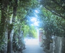 写真の加工、承ります 映画風、エモ風、ノスタルジーを感じる加工 イメージ1
