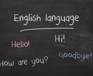 オンラインで英会話のレッスンをします 発音や文法できるが、とっさの英会話に自信がない方にオススメ イメージ1