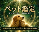 天啓ペット霊視 | 愛するペット様の想いを伝えます 大切な我が子の言葉にできないあなたの願いを受け取りお伝えする イメージ1
