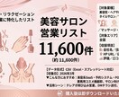 美容系営業リスト11600件|全国CSV提供します 美容院・エステ・ネイル全国リスト即使用可 イメージ1