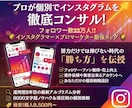 プロが個別でインスタグラムをコンサルします フォロワー22万人インスタグラマーとプロマーケターのタッグ！ イメージ1