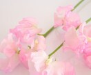 心にある想い、何でもお聞きします ✽あなたのお気持ちにそっと寄り添います✽ イメージ1