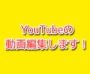 YouTubeなどの動画編集代行します 納期は必ず守り、即返信を心がけます！ イメージ1