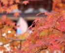 ちょっとだけ凝った国内観光スポットを紹介します 定番観光地に少し飽きてしまったら イメージ2
