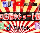 ショート動画特化　広報のプロがバズる動画作ります 海外向けの集客動画もOK、丁寧な打ち合わせで質の高い一本を イメージ1