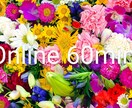 セルフブランディングのお手伝いたします あなたが愛するあなたを見つけましょう イメージ1