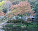 タロットで知りたいこと占います タロットで少し気になること、占ってみませんか？ イメージ1