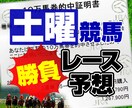 中央競馬予想の土曜日の厳選レースの予想をします 競馬の予想から馬券の買い目、独自の見解をお送ります。 イメージ1