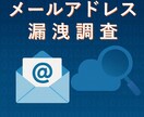 メールアドレスの漏洩情報を調べます セキュリティの専門家による、メールアドレス漏洩調査サービス イメージ2