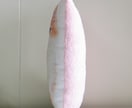 うちの子 クッション（ぬいぐるみ）をお作り致します 裏面のフワモコ生地が、まるでウチの子を撫でている様な感覚に。 イメージ6