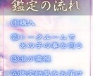 ペット霊視｜あなたの大事な家族の想いを視ます あの子が伝えたい言葉、伝えられなかった思い イメージ3