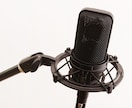 音声データの編集、エフェクト加工等を承ります。 イメージ1