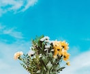 死別の悲しみ、苦しみ　お気持ち大事にお聴きします 死別経験者／看取り／あなたの今の胸の内をそのまま受けとめます イメージ8