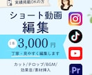 実績掲載OKの方！ショート動画編集します 基本の編集で、シンプルで見やすい動画に仕上げます！ イメージ1