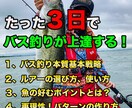 たった３日でバス釣りが劇的に上達する方法教えます ３っのポイントを知るだけで狙って魚が釣れるようになります。 イメージ1