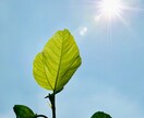 霊視で今の状況を深く視て、整え・改善します 一人で抱え込んできた想いに寄り添います イメージ1