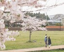 お悩み、愚痴や世間話、なんでも聴きます 恋愛・人間関係・きょうの出来事、、、話してスッキリしましょう イメージ1