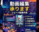 縦型ショート動画の編集を承ります TikTok/Shorts/リール、お任せください！ イメージ1