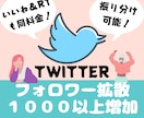 １ヶ月ツイッターRT＆いいね各５０日本人拡散します 【日本人限定】１ヶ月１５００拡散！フォロワー総合計60万人へ イメージ7