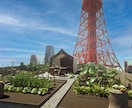 賞経験ありの建築家が高品質内観パースを作ります 人情あるコスパ最強な作品をお求めの方へ！【動画もできます】 イメージ4