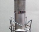ボーカルエディット（5トラックまで）します あなたの歌声を より良く より美しく よりかっこよく イメージ1