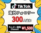 TikTokにフォロワー300人を拡散します ★初回購入特典付き／少数も可能／最速納品★ イメージ10