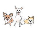 名前付き⭐︎シンプル可愛いペットイラスト描きます 犬/猫/ウサギ/ハムスターなんでも◎記念日やギフトに是非⭐︎ イメージ8