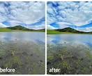 SNSで映えるやさしい写真に仕上げます 世界観を大切に、一枚一枚丁寧に仕上げます。 イメージ5