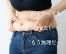 本気で痩せたい方以外はお断りします 本気の3ヶ月ダイエットコーチで、自己肯定感あげませんか? イメージ2