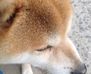 仕事やプライベートでの愚痴を聞いてます ストレスが少しでも発散できたら幸いです。 イメージ1