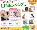 家族が笑顔になる♪うちの子LINEスタンプ作ります 写真を送るだけ！ペット・お子様を毎日使える特別なスタンプへ！ イメージ1