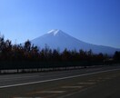 恋愛運・仕事運・対人関係を占います 恋愛運では片想い、お相手の気持ち、不倫関係などのお悩み相談室 イメージ1