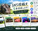 SNS投稿文を5本作成します お店の魅力が伝わる文章を作ります イメージ1