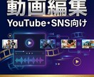 YouTube・SNS向け動画を編集します テロップ・BGM・エフェクトお任せください イメージ1