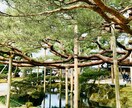 魂結び霊導鑑定で《あの人の本音》を霊視します 知りたい彼・彼女の心と未来―動けない恋をそっと解き放つ― イメージ5