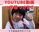 youtube動画に外国語の字幕をつけます あなたのチャンネル国内だけではもったいない イメージ1