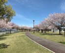 ヒーリングをさせていただきます 癒しのエネルギーをお送りします イメージ3