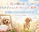 写真からあの子らしい言葉のメモリアル動画を作ります 命日・お誕生日に。もう一度会えたような時間を イメージ1
