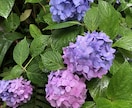夫婦、子育てのモヤモヤ、家族の悩み一緒に整理します 経験者だからこそわかる気持ちがあります。 イメージ7