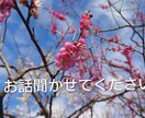 貴方のお話お聞きします 心の悩みや不安など話してみませんか？友達には話せないことも○ イメージ1