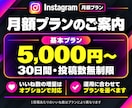 インスタいいね【月額】30日無制限で全て増やします 投稿するだけでいいね増加｜毎回の連絡不要｜宣伝・自動対応 イメージ6